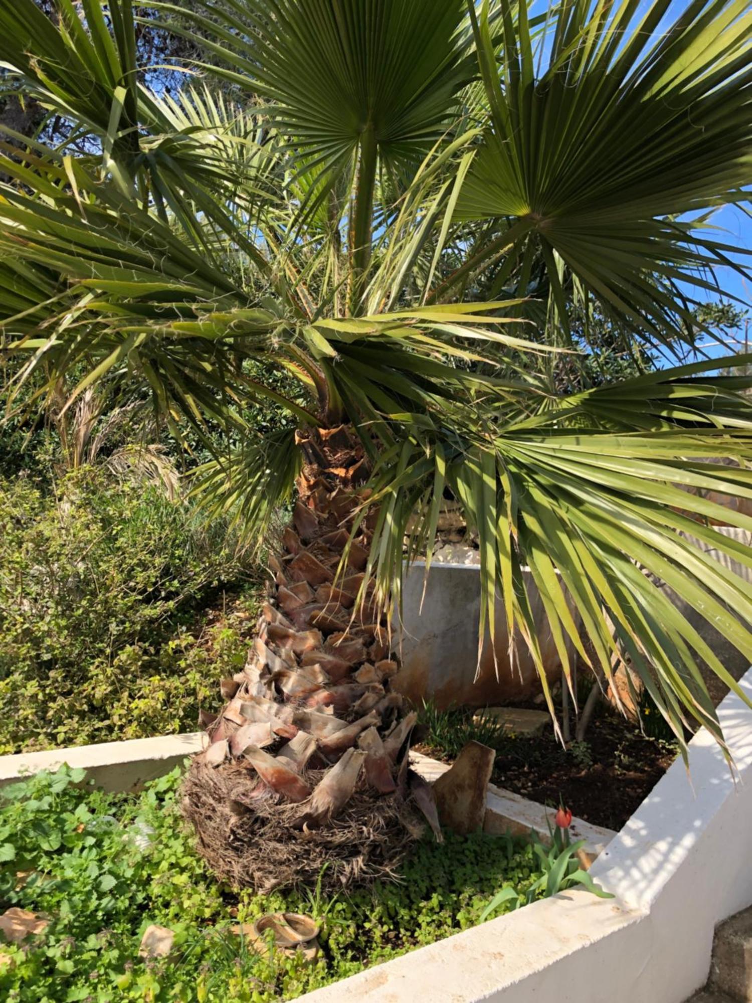 Babo Apartments Hvar Town Zewnętrze zdjęcie