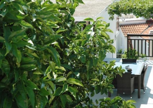 Babo Apartments Hvar Town Pokój zdjęcie